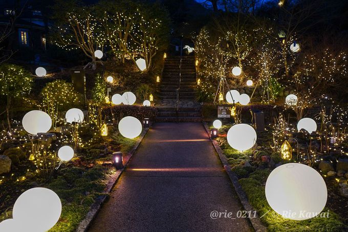 夜の箱根観光におすすめ 箱根強羅公園 スプリングナイトガーデン 神奈川県 トラベルjp 旅行ガイド