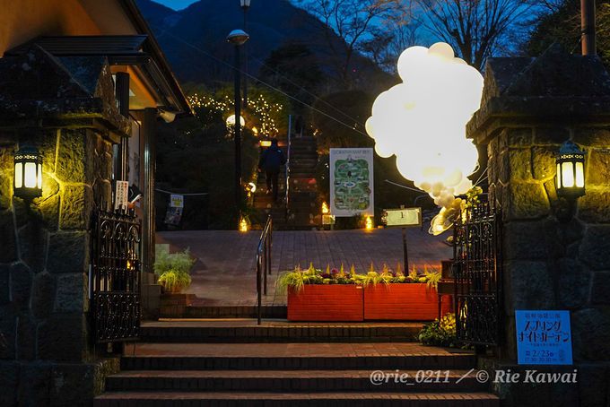 夜の箱根観光におすすめ 箱根強羅公園 スプリングナイトガーデン 神奈川県 トラベルjp 旅行ガイド