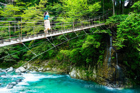 mꂴiɉɁA򕌌Ð֍sI̋LTlC