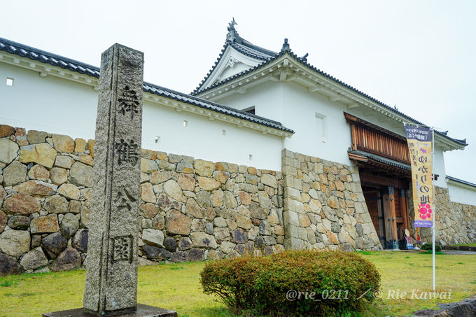 yԊOҁzGƂƂɒOgEOU߂FEאHւ䂩̒n`ߎsҁ`