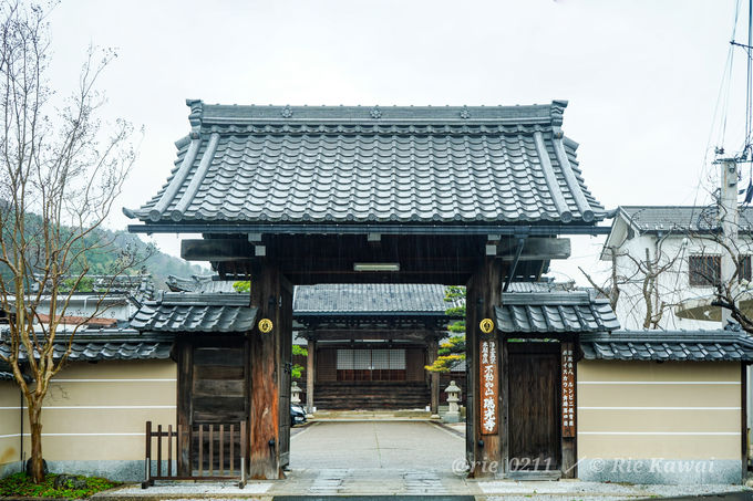 yԊOҁzGƂƂɒOgEOU߂FEאHւ䂩̒n`ߎsҁ`