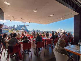 シドニーハーバーの絶景を一望できるMCAカフェでランチ