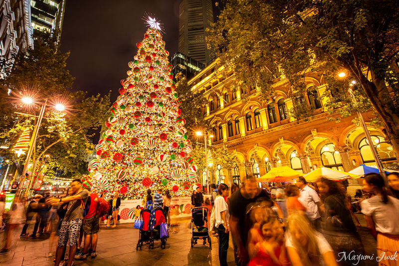 真夏のシドニーで楽しむ「クリスマス・イルミネーション」5選