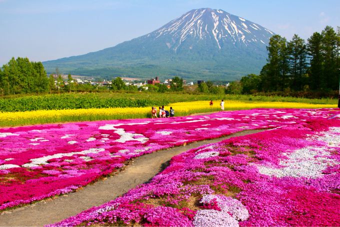 10�D4���߂��Ă����v�B�k�C���Łu�ō��̐�i�v�Ɋ���