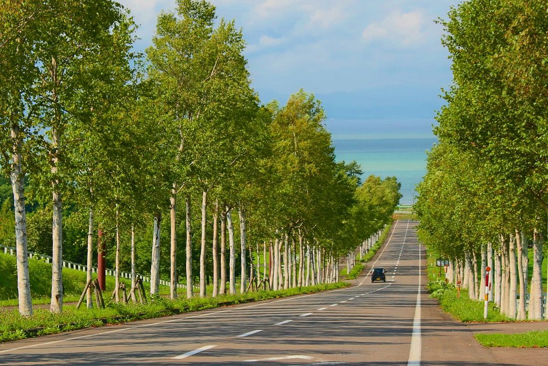 煌めく天の川はまさに絶景 北海道 八雲町 育成牧場 北海道 Lineトラベルjp 旅行ガイド