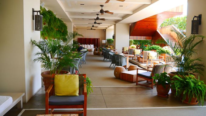 一味違うハワイ滞在を おしゃれなデザイナーズホテル ザ モダン ホノルル ハワイ Lineトラベルjp 旅行ガイド