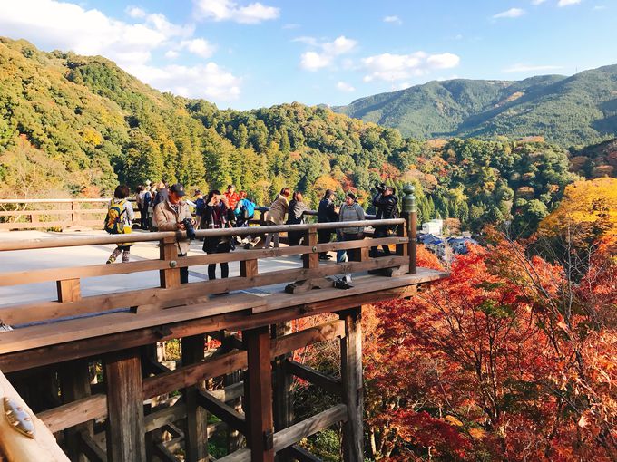 穴場スポットと外せない奈良の紅葉ベストスポット５選 奈良県 Lineトラベルjp 旅行ガイド