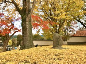 X|bgƊOȂޗǂ̍gtxXgX|bgTI̋LTlC