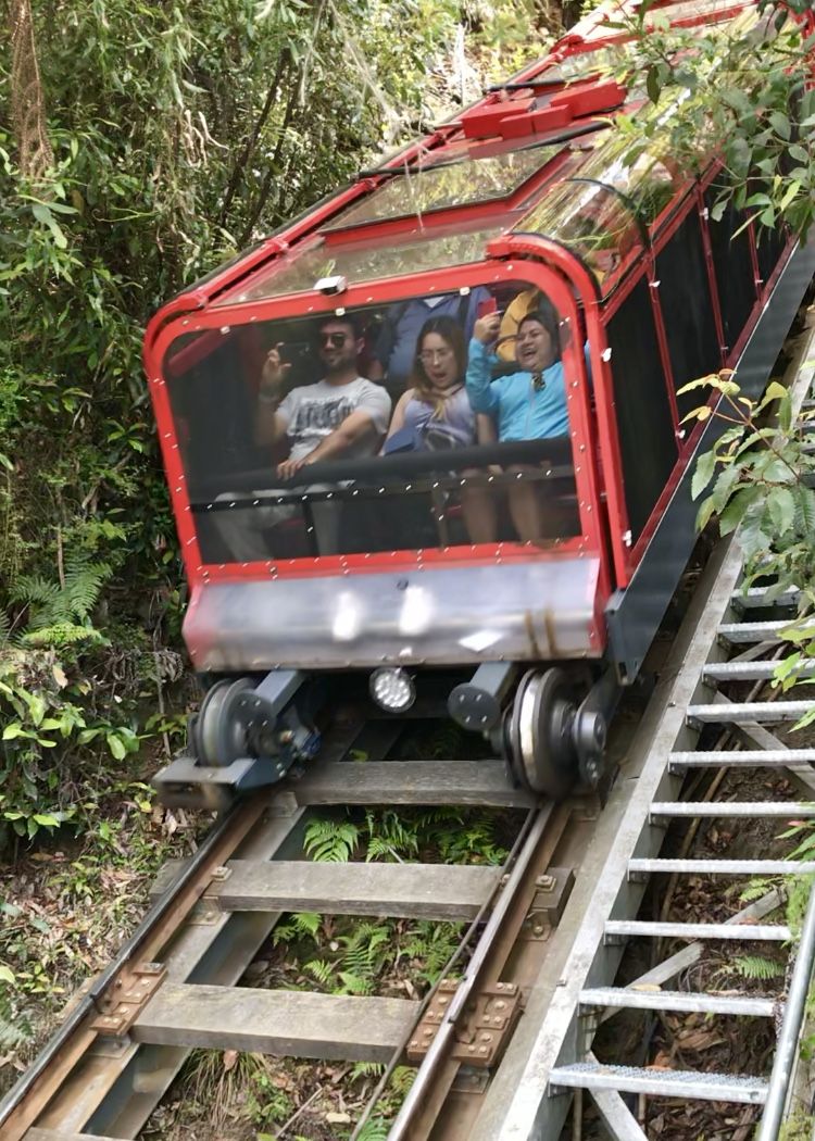 シドニーから２時間 世界遺産ブルーマウンテンズ国立公園満喫ツアー オーストラリア トラベルjp 旅行ガイド