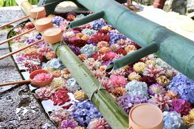 ܂mȂޗǂIqɂߖƎӖiR[X̋LTlC