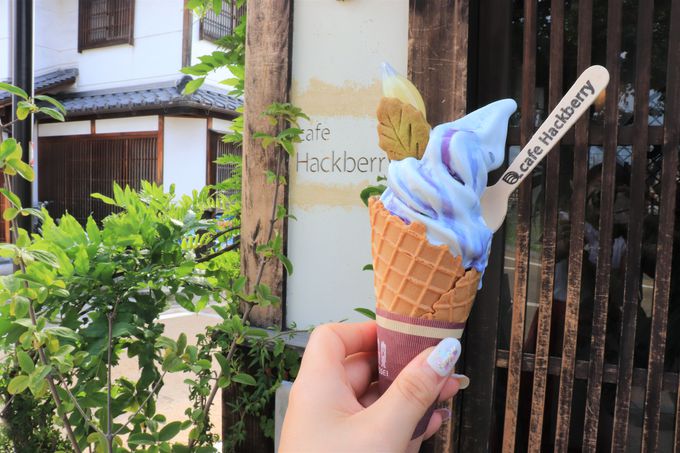おしゃれカフェと重要文化財を巡る 奈良今井町の人気スポット 奈良県 トラベルjp 旅行ガイド
