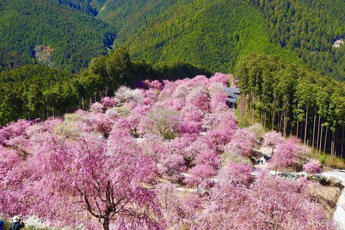 W650[g̐iAuV̒ ̋vցI