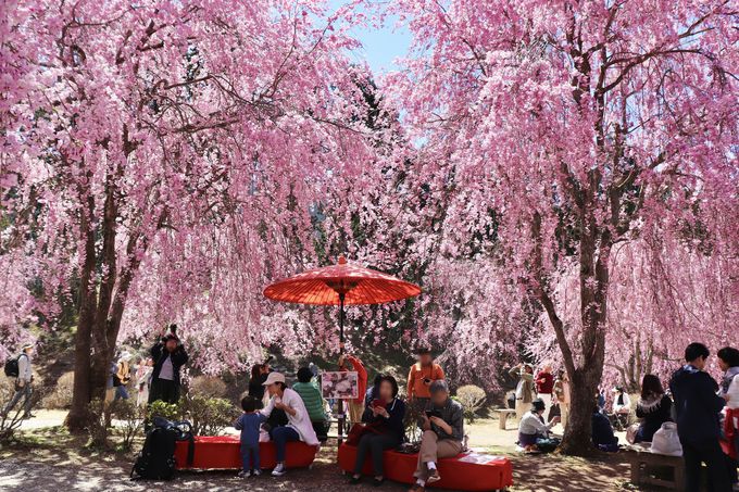 W650[g̐iAuV̒ ̋vցI