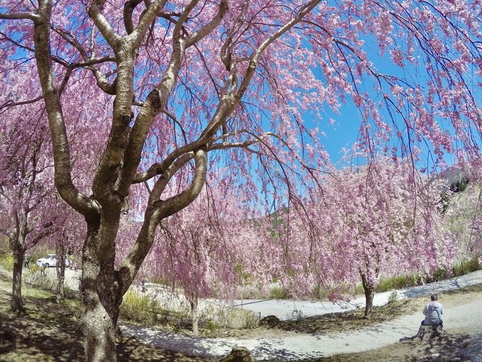 W650[g̐iAuV̒ ̋vցI