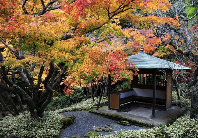 ���s����ڒz���ꂽ�����Ƌ����뉀�ɂ����Ƃ�I