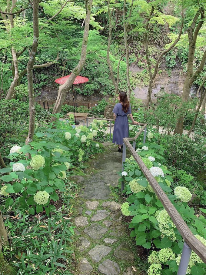 ���q�ł͂߂��炵����Ƌ��Ɉ��ł�뉀�I