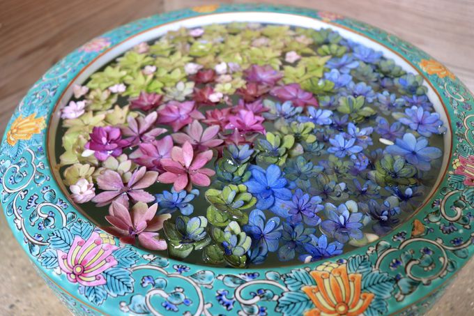 �Î�̒��̖����̐��E�ւ悤�����I