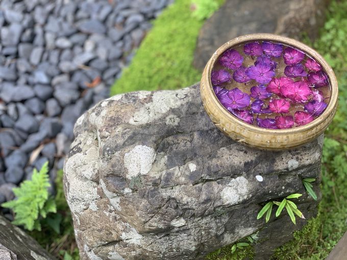 ���{�́g�������h�ɐG��������ԂŐS�����t���b�V���I