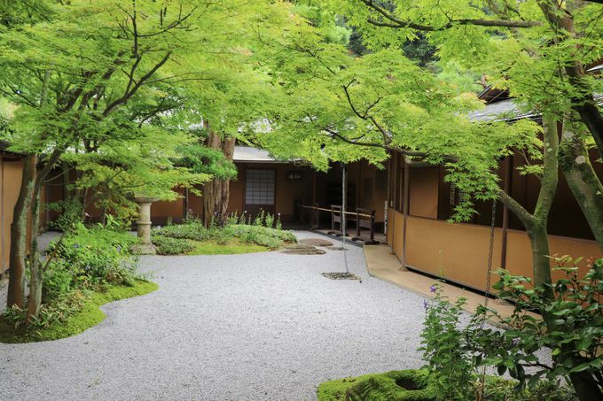 �Î�̒��̖����̐��E�ւ悤�����I