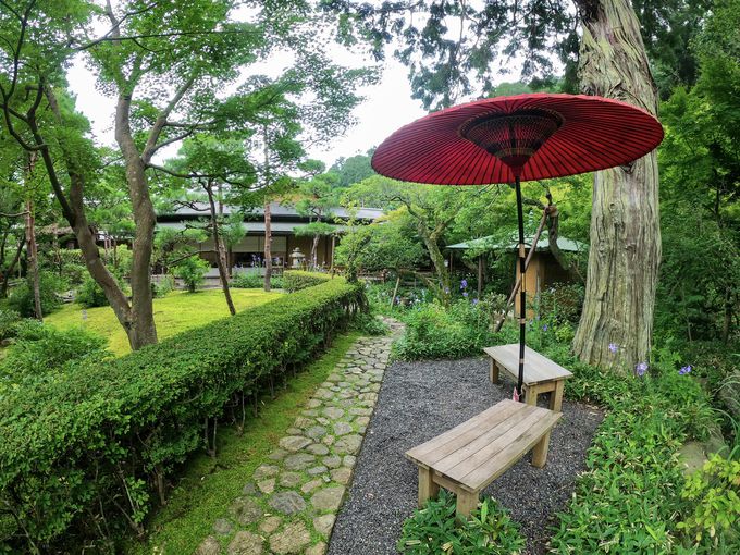 ���q�ł͂߂��炵����Ƌ��Ɉ��ł�뉀�I