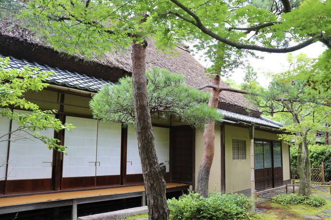 ���s����ڒz���ꂽ�����Ƌ����뉀�ɂ����Ƃ�I