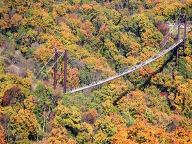 大阪の紅葉必見スポット！ほしだ園地「星のブランコ」で絶景体験