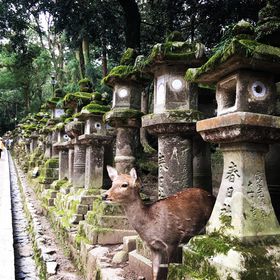 ɂ̓siIl̓ޗǏCws̋LTlC