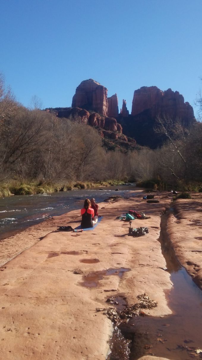 �ŋߑ咍�ڂ̖������p���[�X�|�b�g�́u�Z�h�i�v