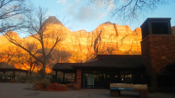 �S�č��������ł̓���Ґ�����Ƀg�b�v�P�O����I�u�U�C�I�����������v