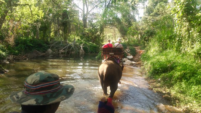 ジャングルの森の中、川をバシャバシャ、象乗りトレッキング