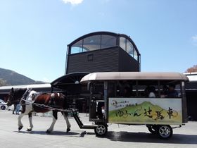 Rz@uYUFUiNFOiӂӂjv֗ŋSn悷郏P̋LTlC