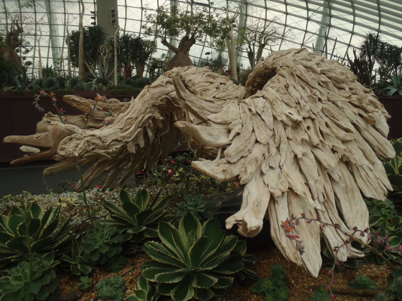 t[h[̍LƉԂ̎ނ̑ɋI