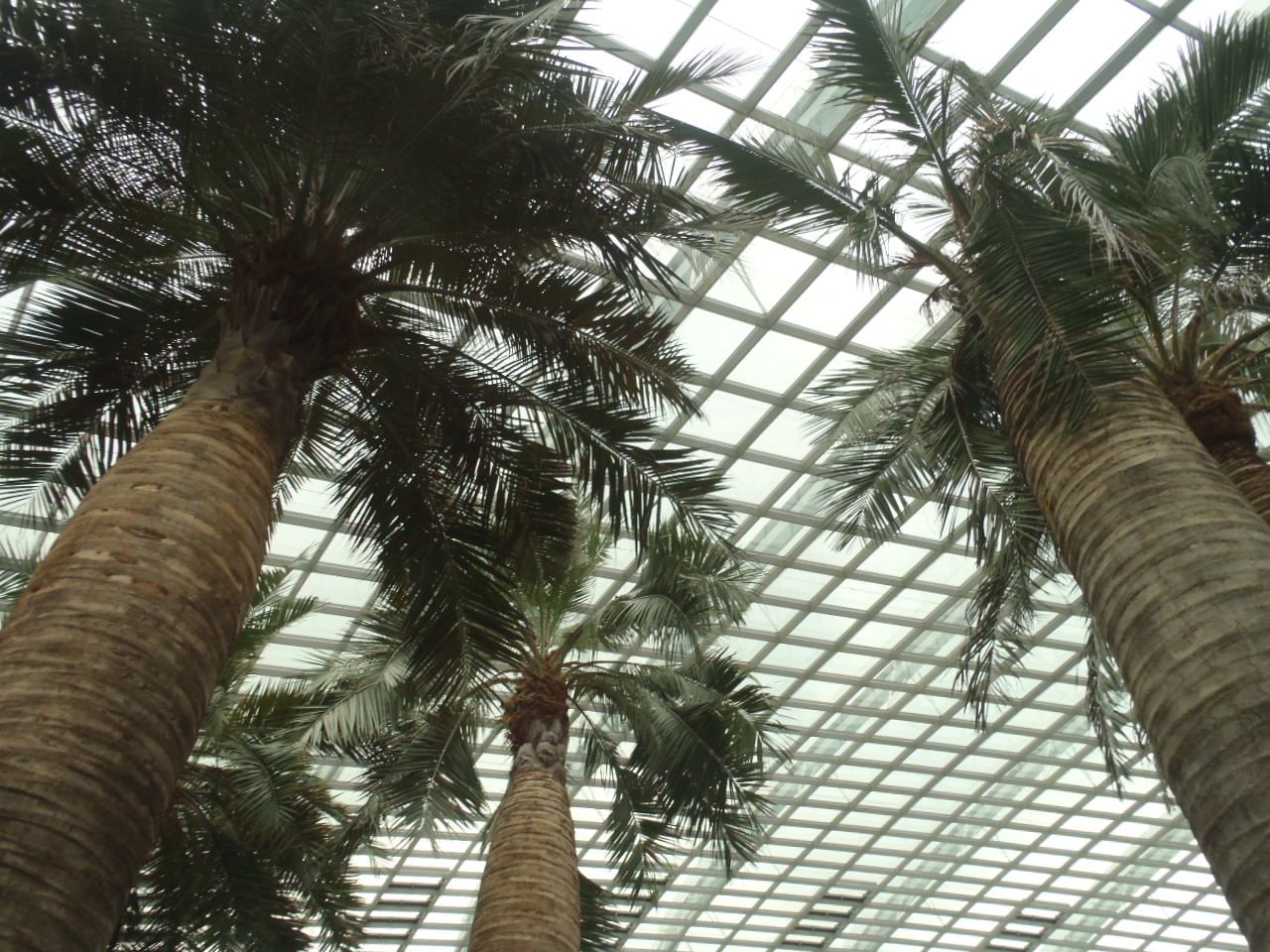 t[h[̍LƉԂ̎ނ̑ɋI