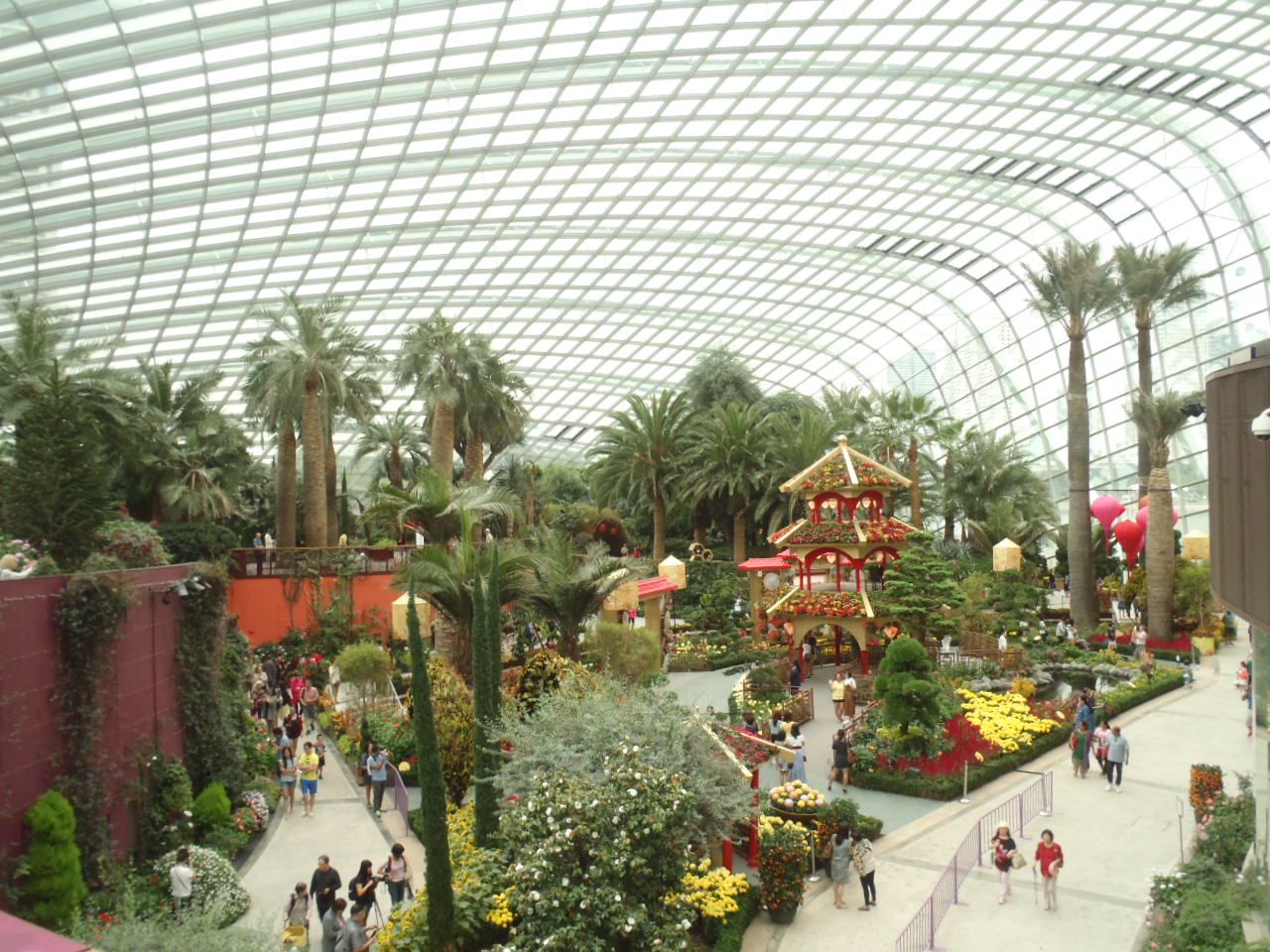 t[h[̍LƉԂ̎ނ̑ɋI