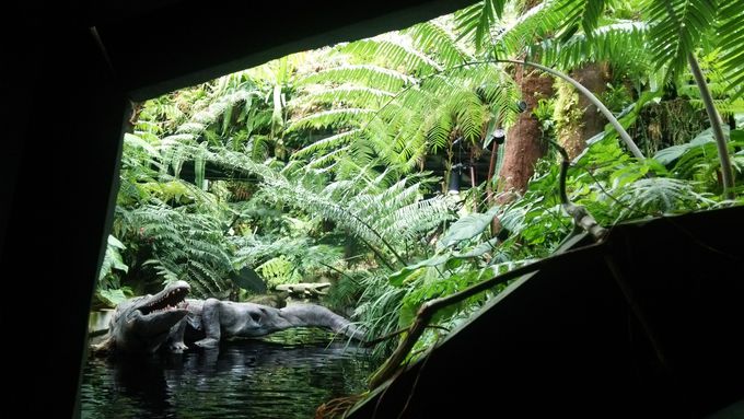 XJCEH[NƎ݂ɌJԂȂ̌w[g