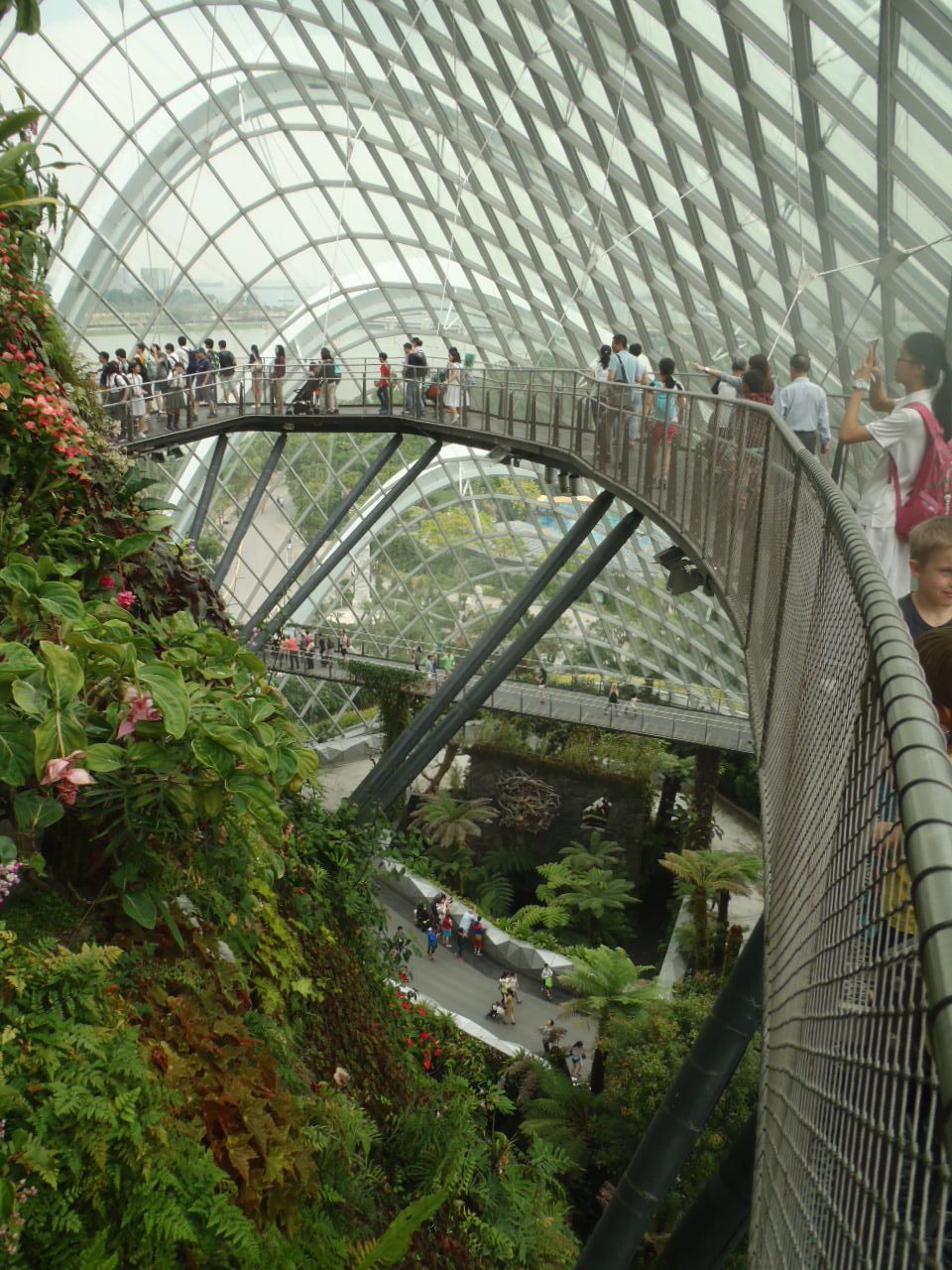 XJCEH[NƎ݂ɌJԂȂ̌w[g