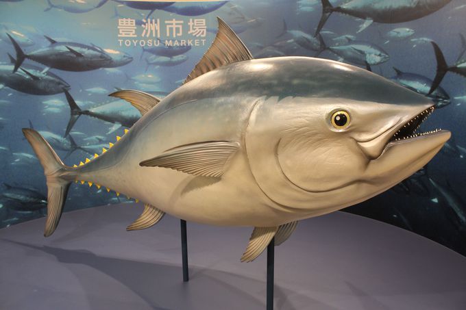 LFsȂ痷sЂ̃cA[ŃNN