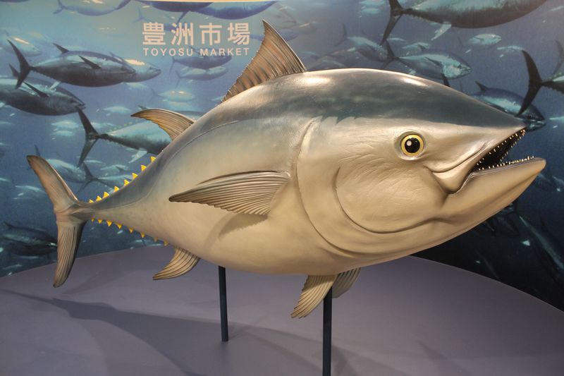 2019NɗsȂRRIbɂȂ肻ȃX|bǵH