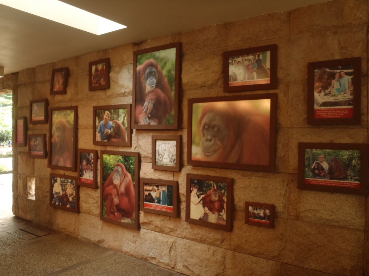 ςOȂIX̎uIE[^vɍŐڋ߁I