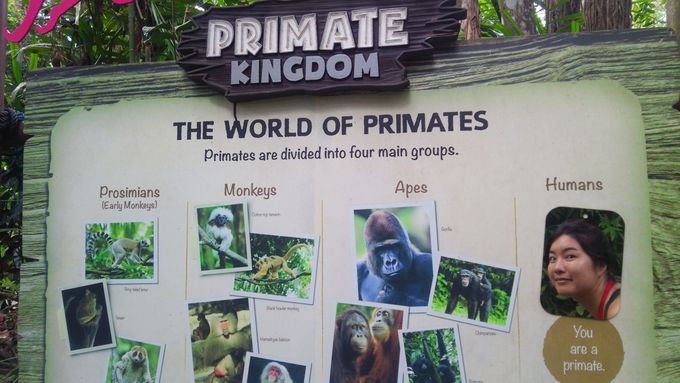 XL[یɂĒmIٌň^GA