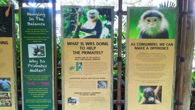 XL[یɂĒmIٌň^GA