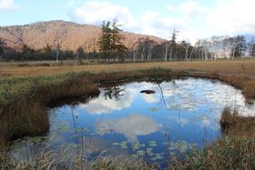 ɔ܂IғARoR12fR[X̋LTlC