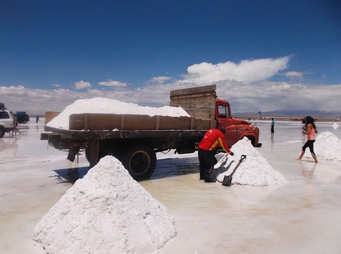 ߌF΂ł̉̏WwƂyYQbg