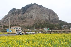 �ϏB���E�R�[�R�u�R�[�A���v�ΎR��������W�I�p�[�N�ɓ`���̖򐅂��I�̋L���T���l�C��