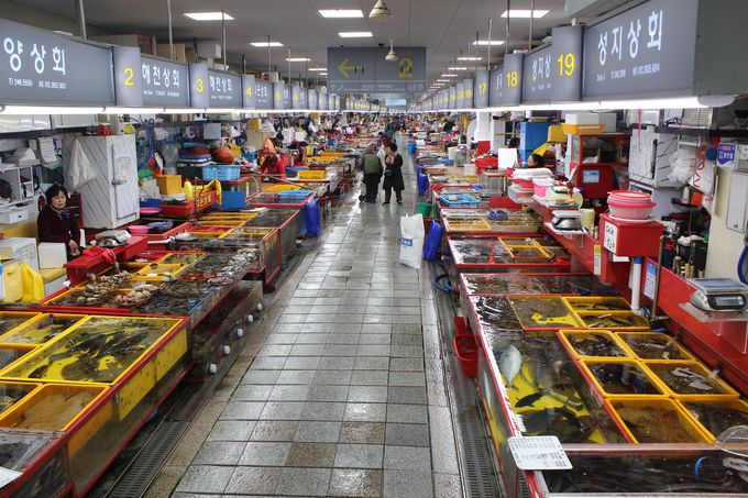 釜山一の海鮮市場「チャガルチ市場」