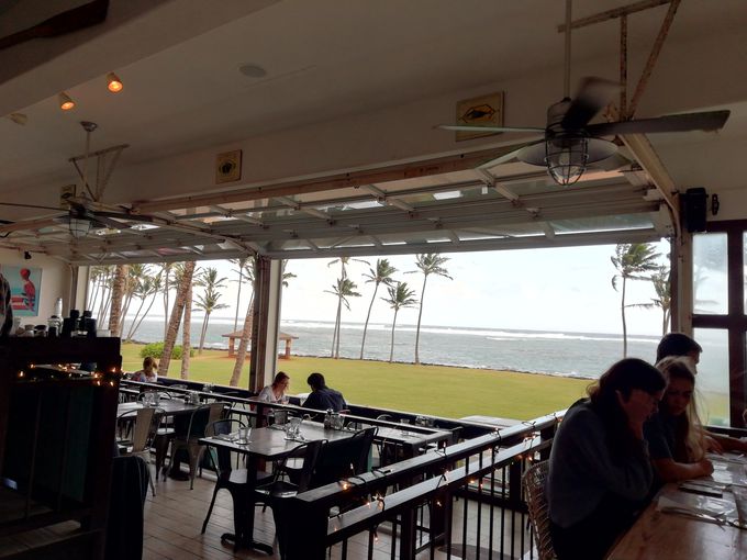 1.C̒߂ōuSamfs Ocean View Restaurantv