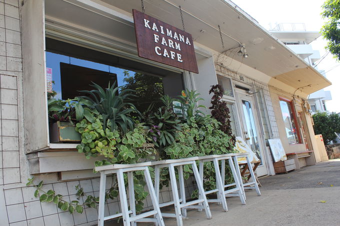 4.Kaimana Farm cafe { Deli