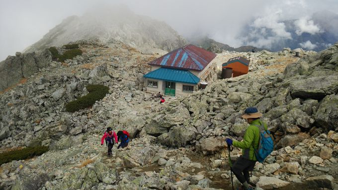 紅葉に囲まれた立山 雷鳥沢 周辺のトレッキングコース３選 富山県 トラベルjp 旅行ガイド