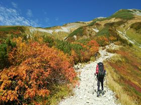 紅葉に囲まれた立山「雷鳥沢」周辺のトレッキングコース３選