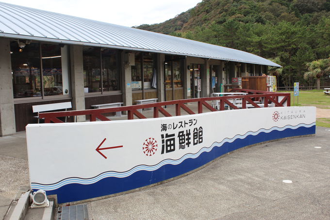 ���ӂł��C�N���m�̂��y�Y�⒋�H�Ȃǂ��[���I